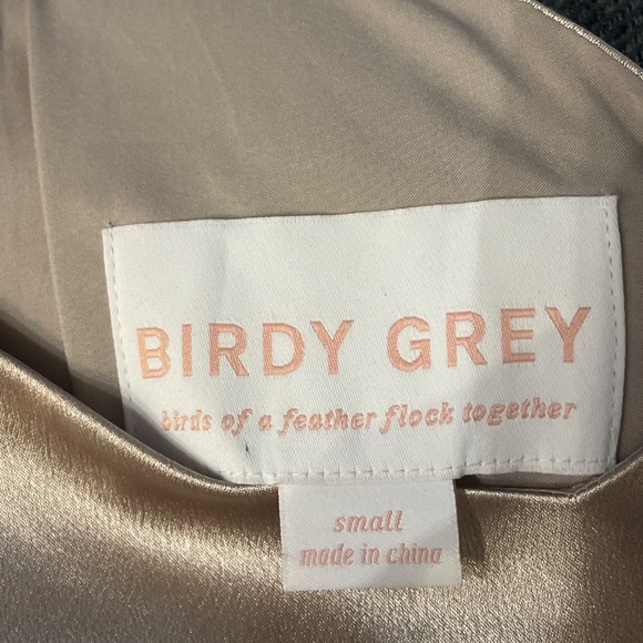 Birdy Grey Silky Floor Length Dress V Neck Empire Waist - Picture 4 of 5